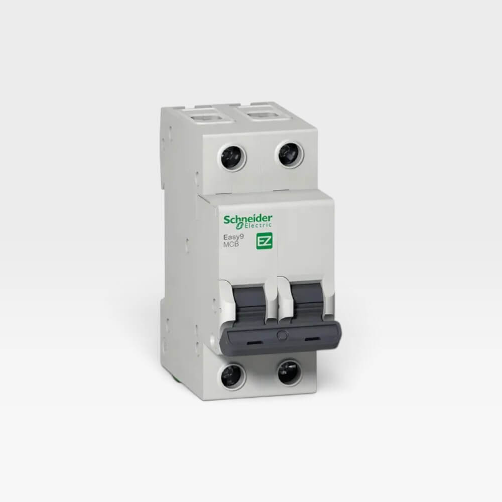 Interruptor Termomagnético Bipolar Schneider